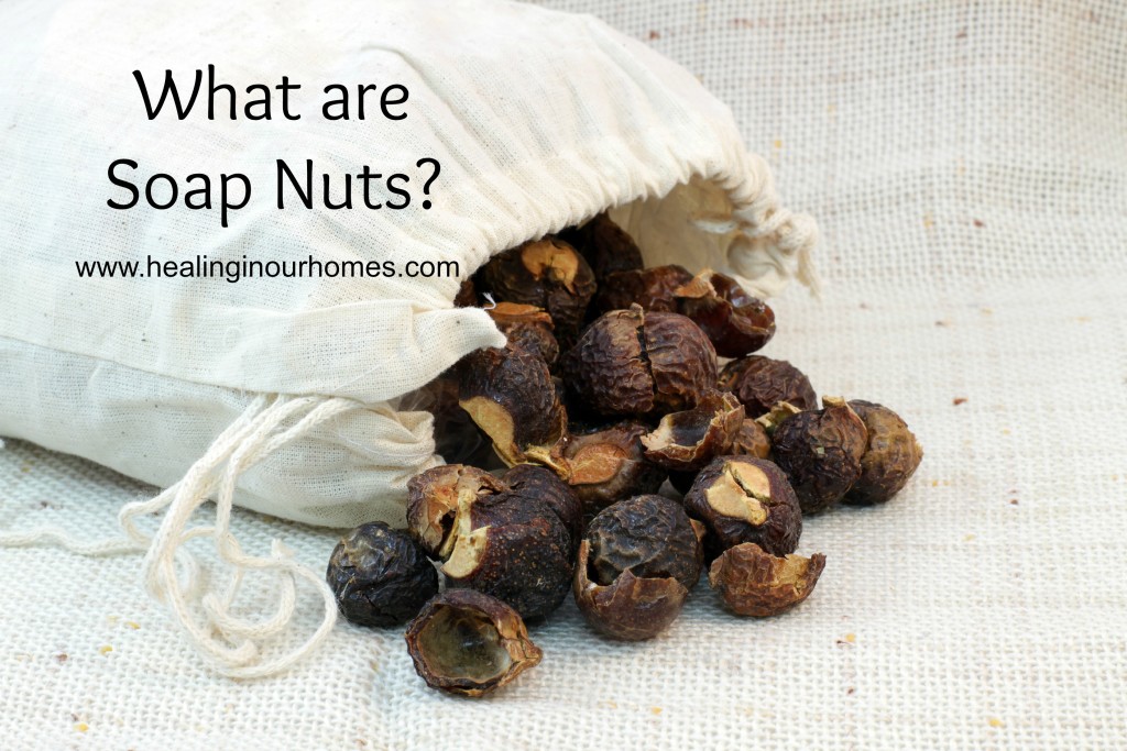 Soap nuts and the bag