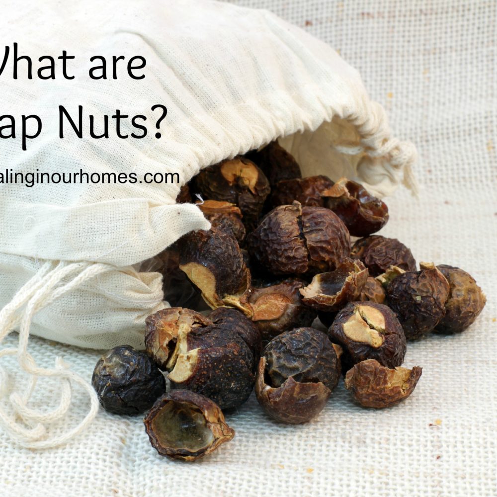 What are soap nuts?