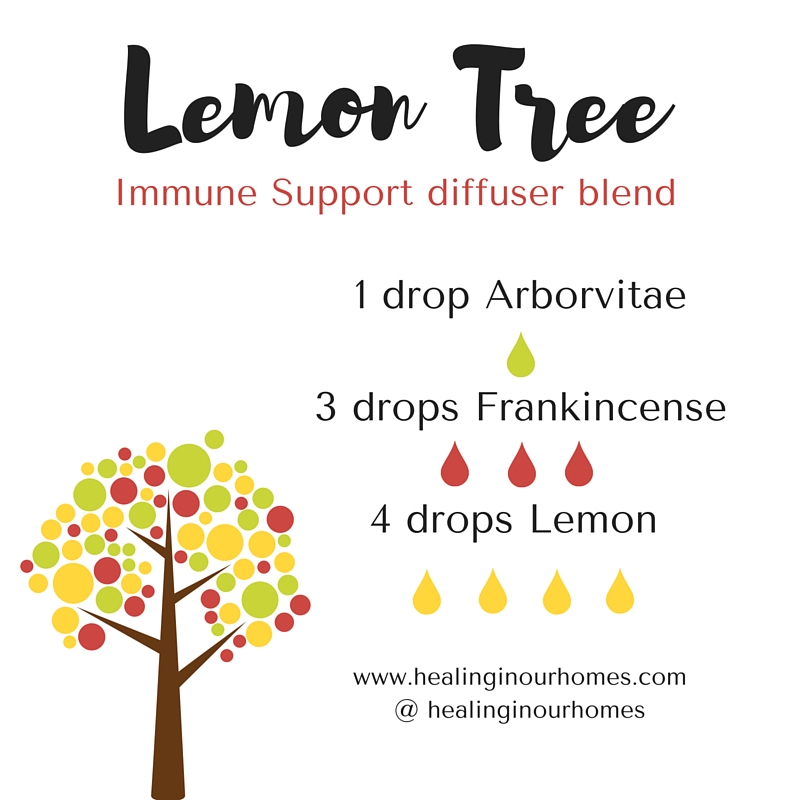 Lemon Tree-2