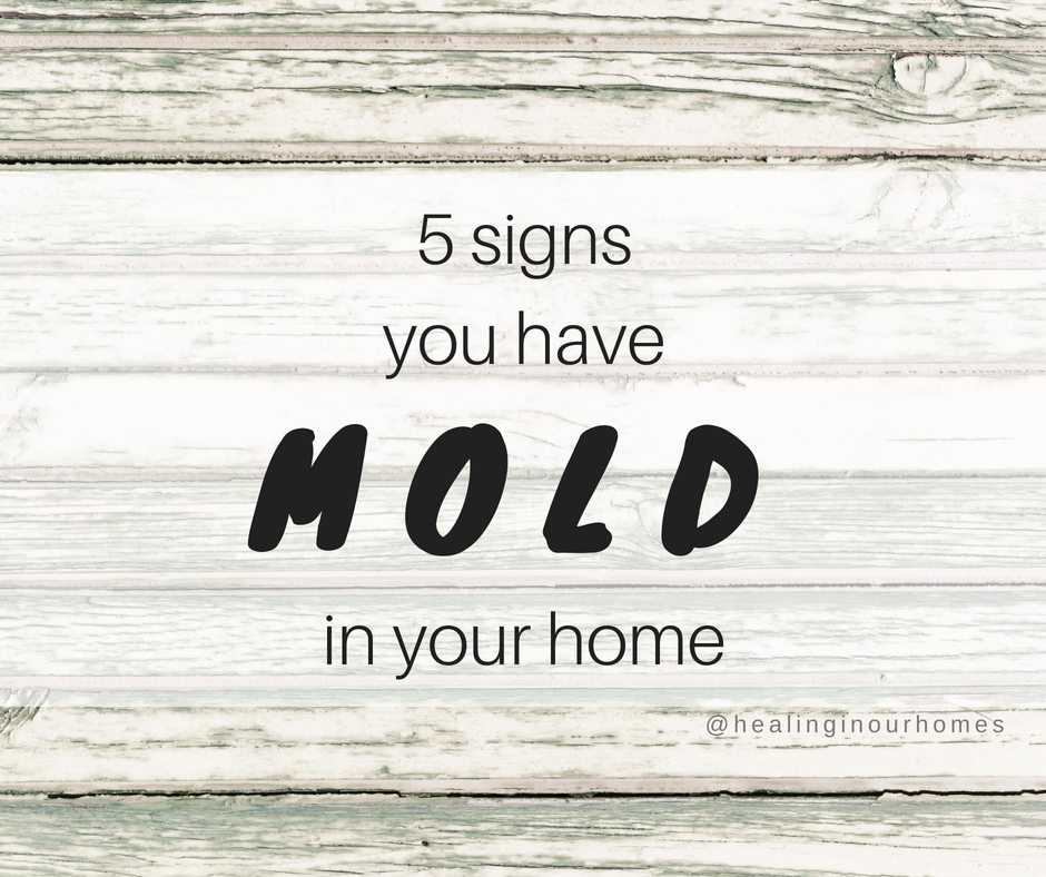 5 Signs You Have Mold In Your Home Healing In Our Homes   Mold Post 1 